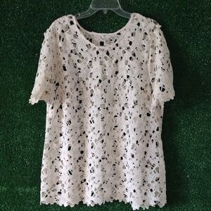 Cato Elegant Cream Lace  Top Knitted Top